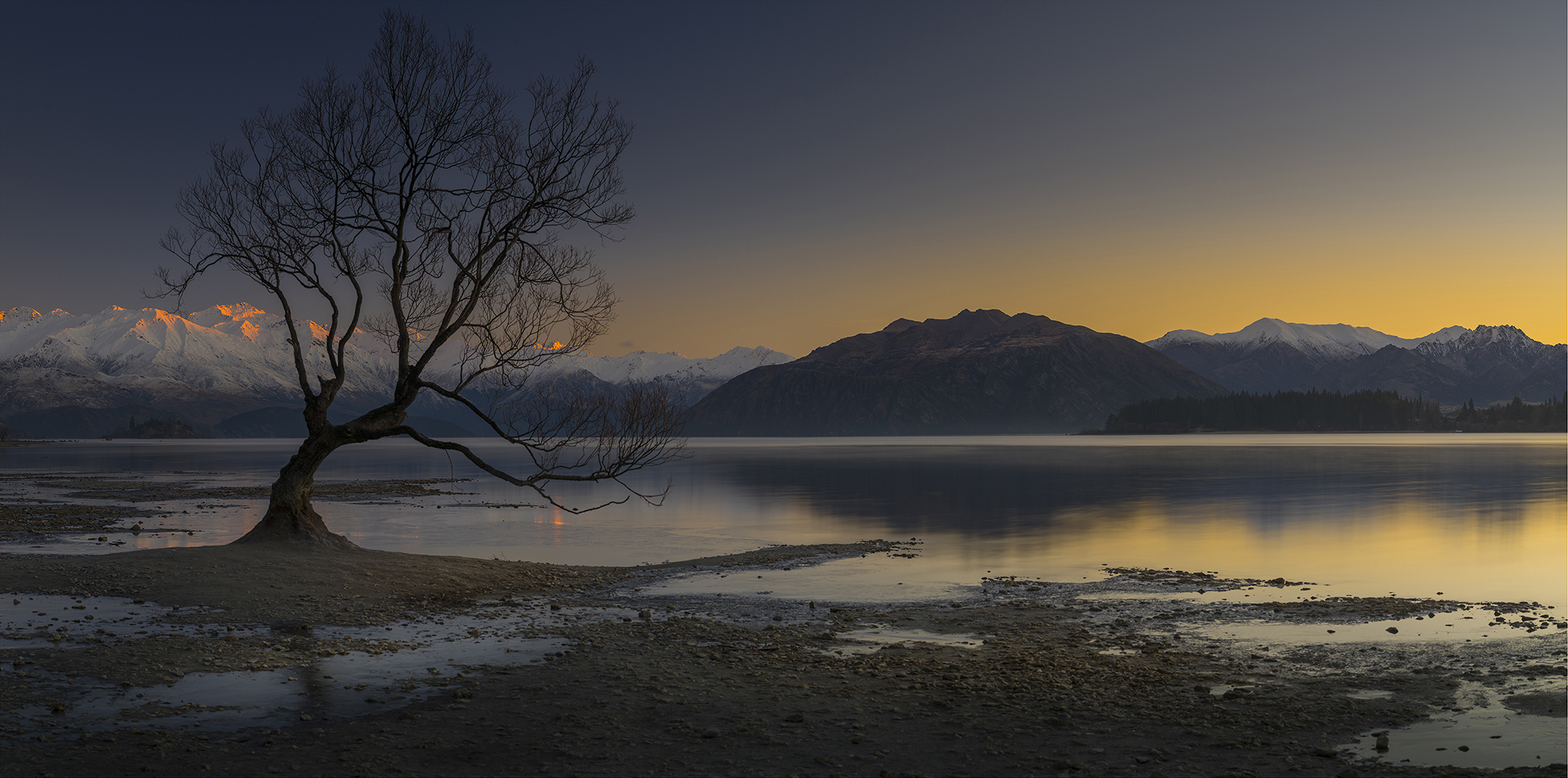 That Tree, Wanaka