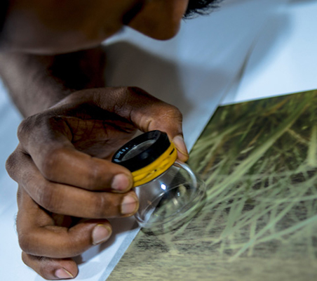 Man looking through magnifier